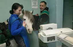 � ��������� ������� ���������� ���������� ����� � ����