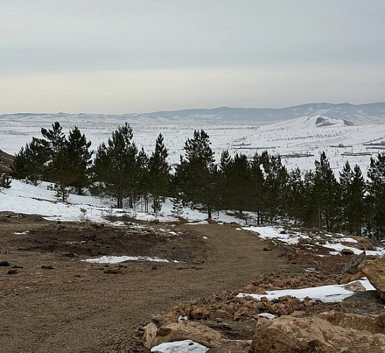 � ��������� ����-��� �������� �������������� ��������� �� ���� ���������