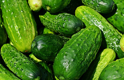 � ����-��� ������ ���������� �� 28 ������