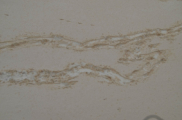 � ���������� ����� ����� ����