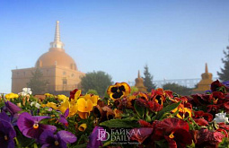 � ������ � ����-��� ������� 20 ����� ������