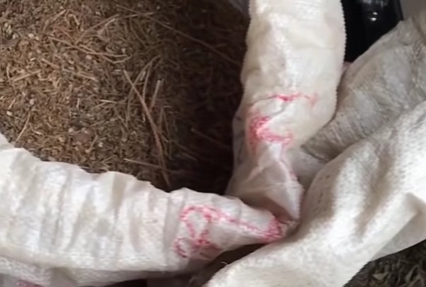 � ������� ������� ���� ��������� � ������� �������� � ������� 