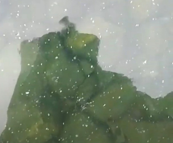 �� ��������� ��������� ������� ����� ���������� ��