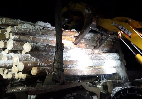 В Иркутской области лесопереработчик возместит ущерб в 3,8 млн 