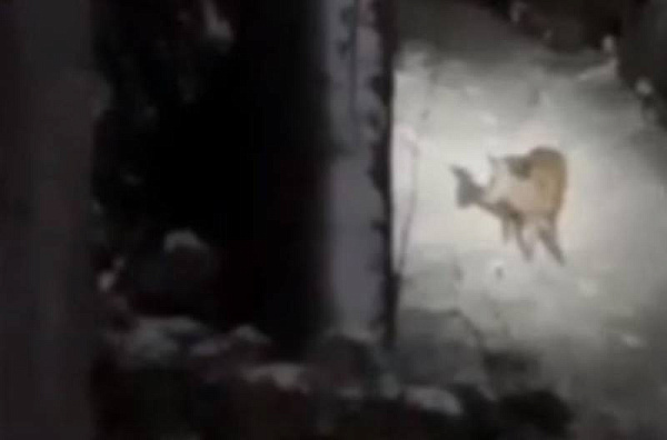 � ������� ����� �� ����� ����� �������