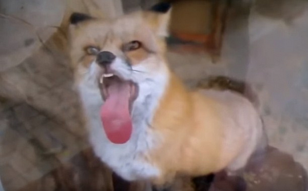 � ������� �������� �������� �� ��������� 