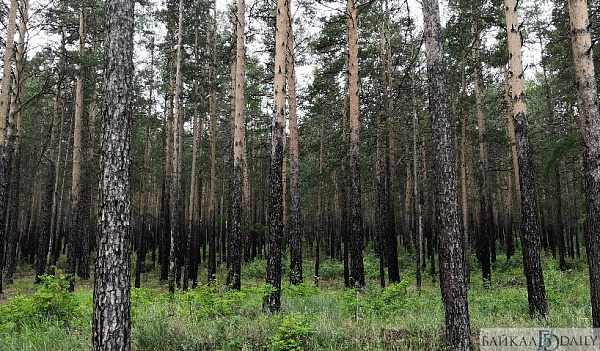 � ������� ����� ���� ����� ������������� � ���� �������� 