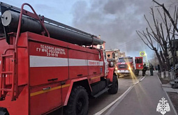 � ����-��� ����� ����������