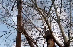 ������ ����-��� �� ����� �������� �������� ��-�� ������