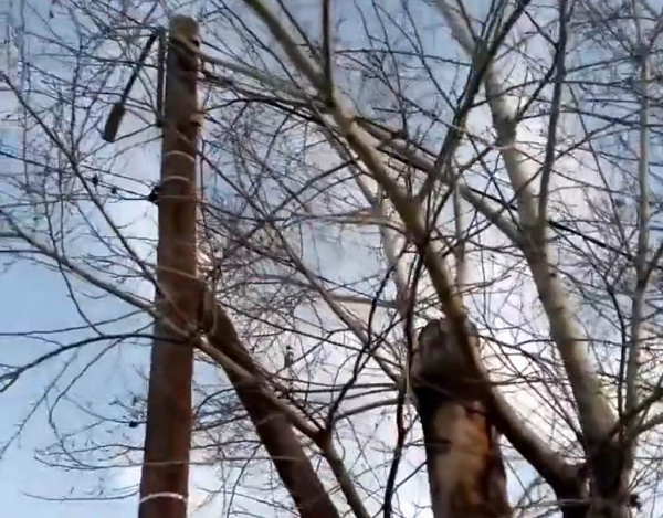 ������ ����-��� �� ����� �������� �������� ��-�� ������