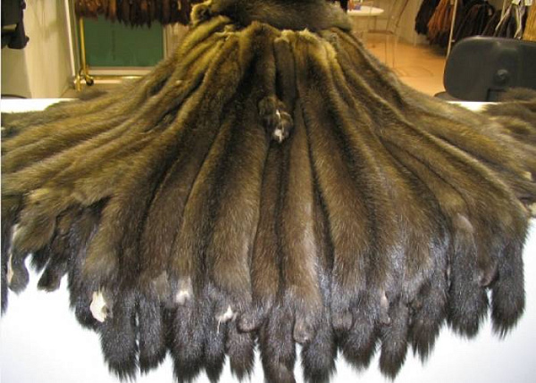 �� �������� � �����-��������� ��������� 11 ����� ������ ������ 