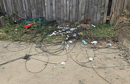 В улан-удэнском СНТ насвинячили энергетики 