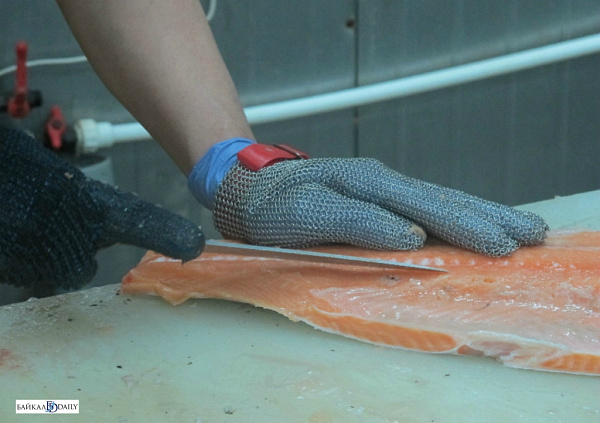 � ������� �������� �������� ���������, ������������ ������� �� �������