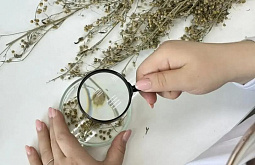 ������ ������� ����������, ��� ������ �������� ��������� ����