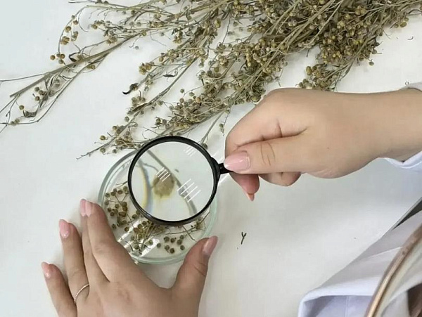 ������ ������� ����������, ��� ������ �������� ��������� ����