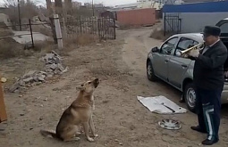 �������� ������ ������� �������� � ������� ������� (�����)