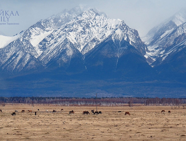 � ������� ���������� ������������ �������� ��� ������������ �� ����� �������  