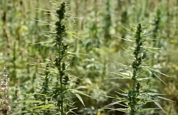 � ������� ����� ���������� � �������������� 