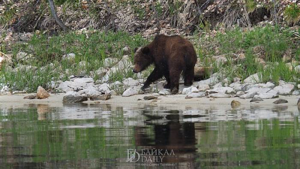 ������� �������������� � ������������ ��� ������� 