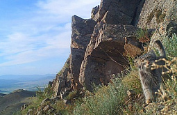 � ������ �������� ����� ������������ ��� ����� ������ 