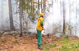 ������� ������ � ������ 100 �������������� ��������� ������