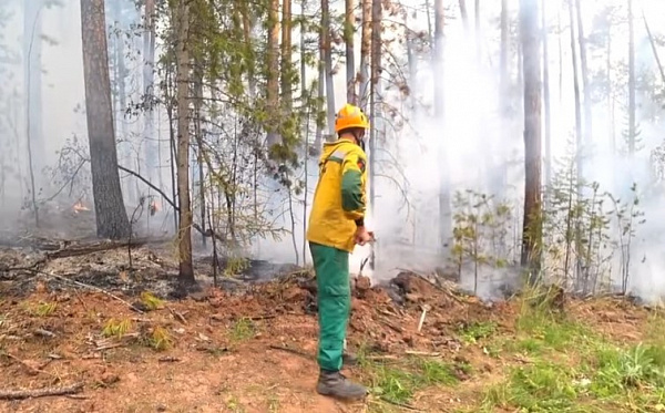 ������� ������ � ������ 100 �������������� ��������� ������