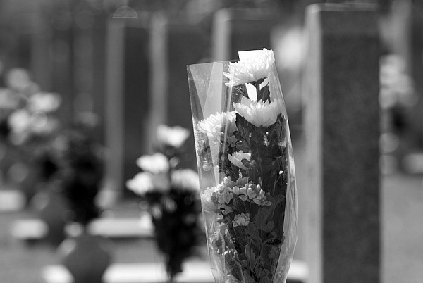 ���� ���������� 89 ����� �� �������� � �������