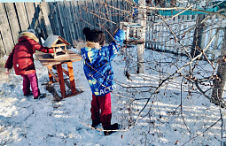 В Бурятии школьники организовали «птичью столовую»