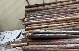 � ����-��� ���������������� ��������� ���������� ���� 