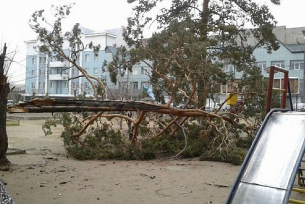 ����� ����� �� ������� �������� � ���� 