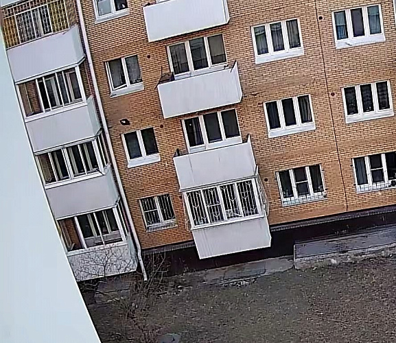 ���������� ����� � ����-��� ������� �� ��������