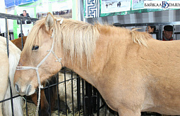 ����� ������� ������ � ������������ ������ ������� 