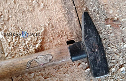 ����-������ ���� �� ����� �������� ��������