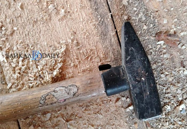 ����-������ ���� �� ����� �������� ��������