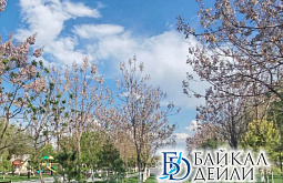 � ������� ���������� �������� ������