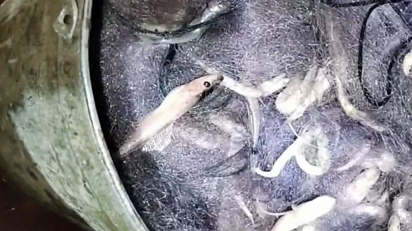 ������ ��������� ������� ��������� ������� ����� 1600 ���