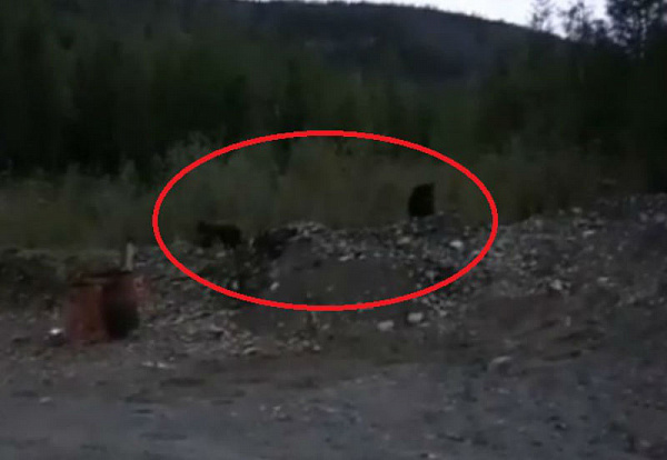 � ������� ����� ���������� ����� ��������� �������� 