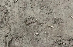 � �������� ������� ���������� � ����������� �������� ����� ������ ������