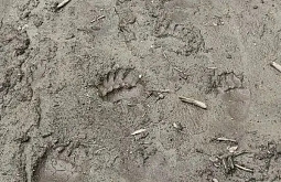 � �������� ������� ���������� � ����������� �������� ����� ������ ������