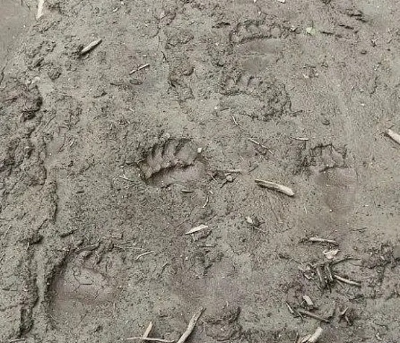 � �������� ������� ���������� � ����������� �������� ����� ������ ������