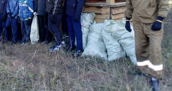 В Бурятии дети очистили лес от мусора