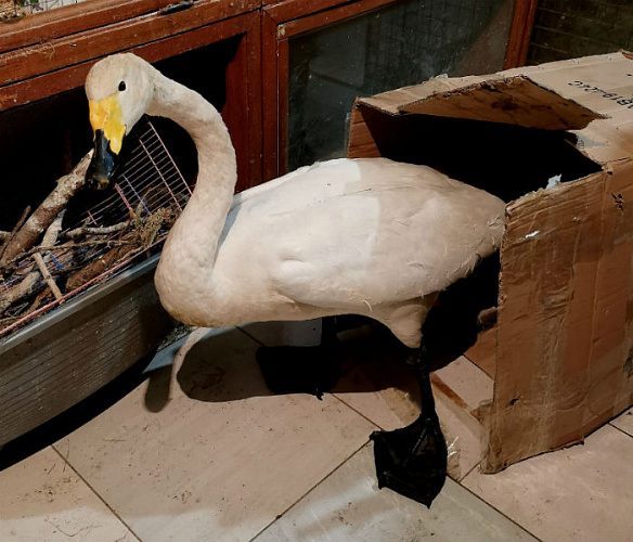 � ������� ������ ������, ������� �� ���� ������� �� ����� 