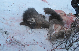 � ������� ������� �����������, ������� ������