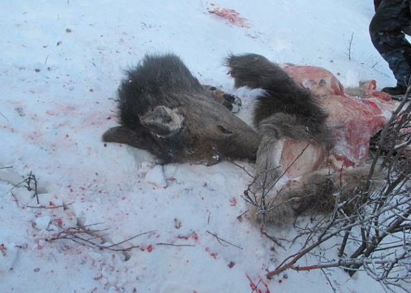 � ������� ������� �����������, ������� ������