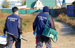 � ������� ����� ���� ������ � ���������� 