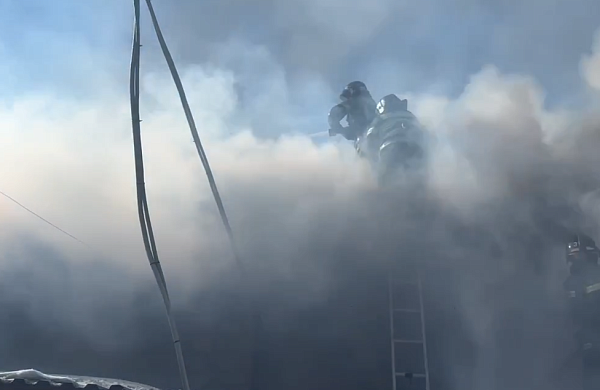 � �������� ������ ���������� ������ ����� ������������ �����