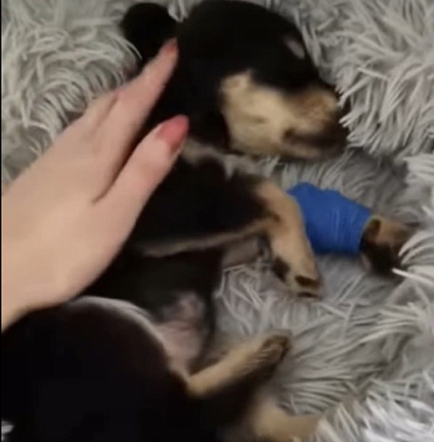 � ����-��� ������� �������� �������� �������������� �����