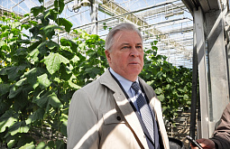 ����� �������: ������� ����������� ���