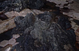 ����-������ ������� � ������ ������� ��������, ������ � ������ 