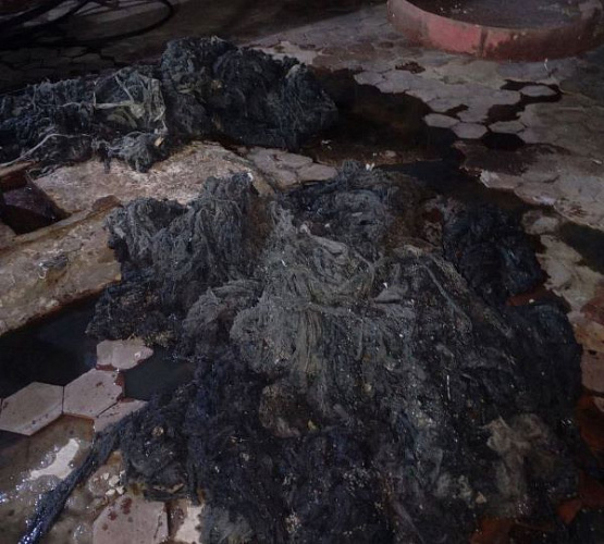 ����-������ ������� � ������ ������� ��������, ������ � ������ 